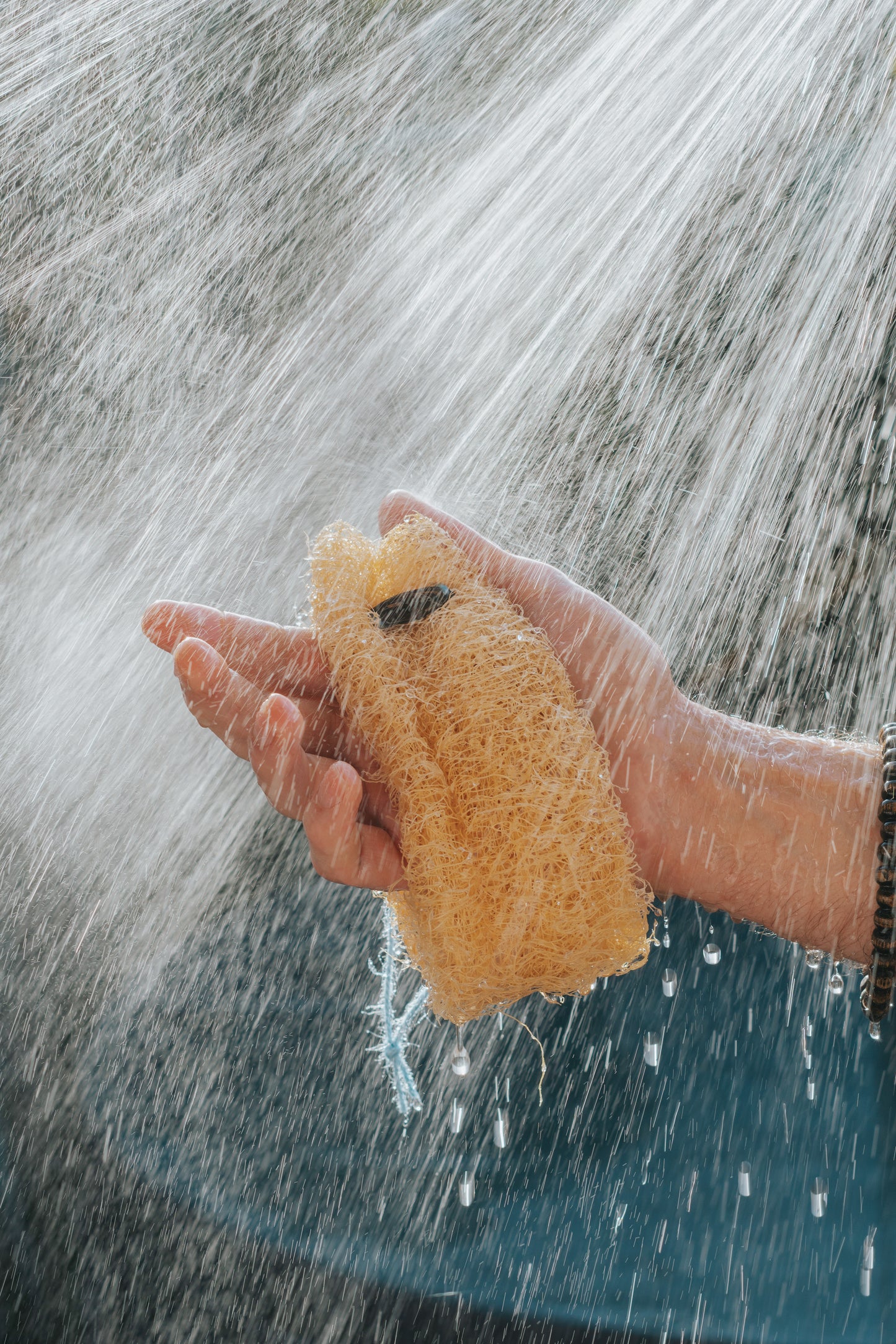 Luffabs® Natural Plant-based Shower Sponge
