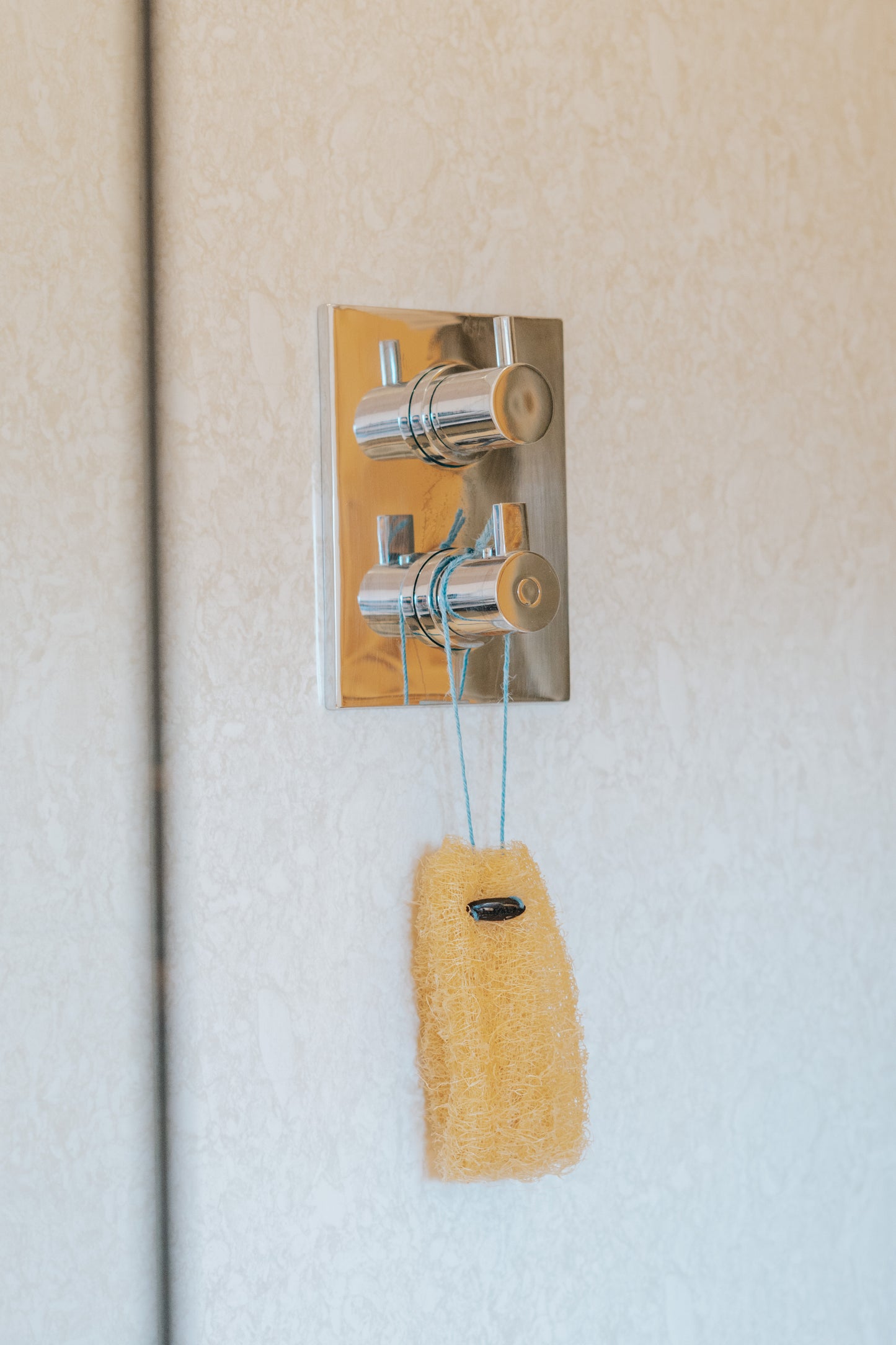 Luffabs® Natural Plant-based Shower Sponge