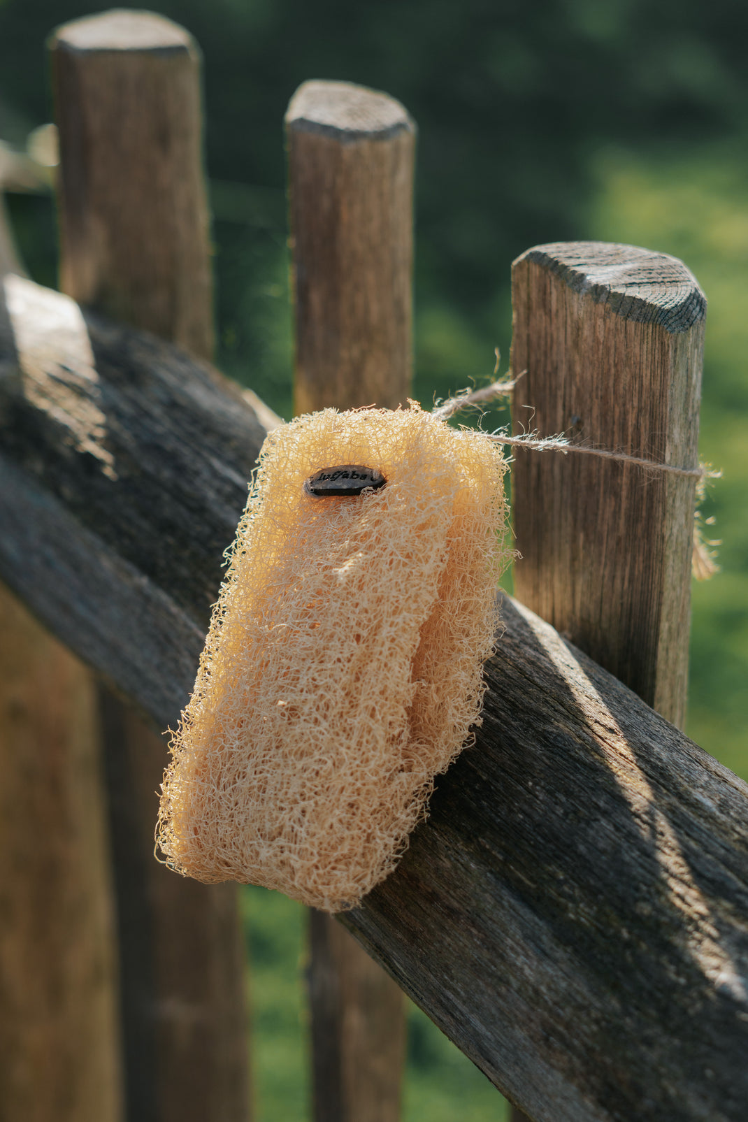 Luffabs® Natural Plant-based Shower Sponge – Luffabs® Plant-based ...